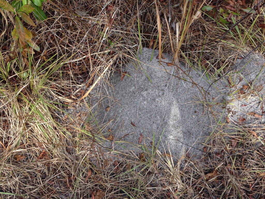 AntHill